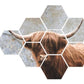 Hexagon Schotse Hooglander 91 bij 60 cm