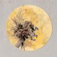 Muurcirkel bos bloemen Ø 50 cm (3mm)