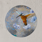 Muurcirkel ijsvogel Ø 50 cm (3mm)